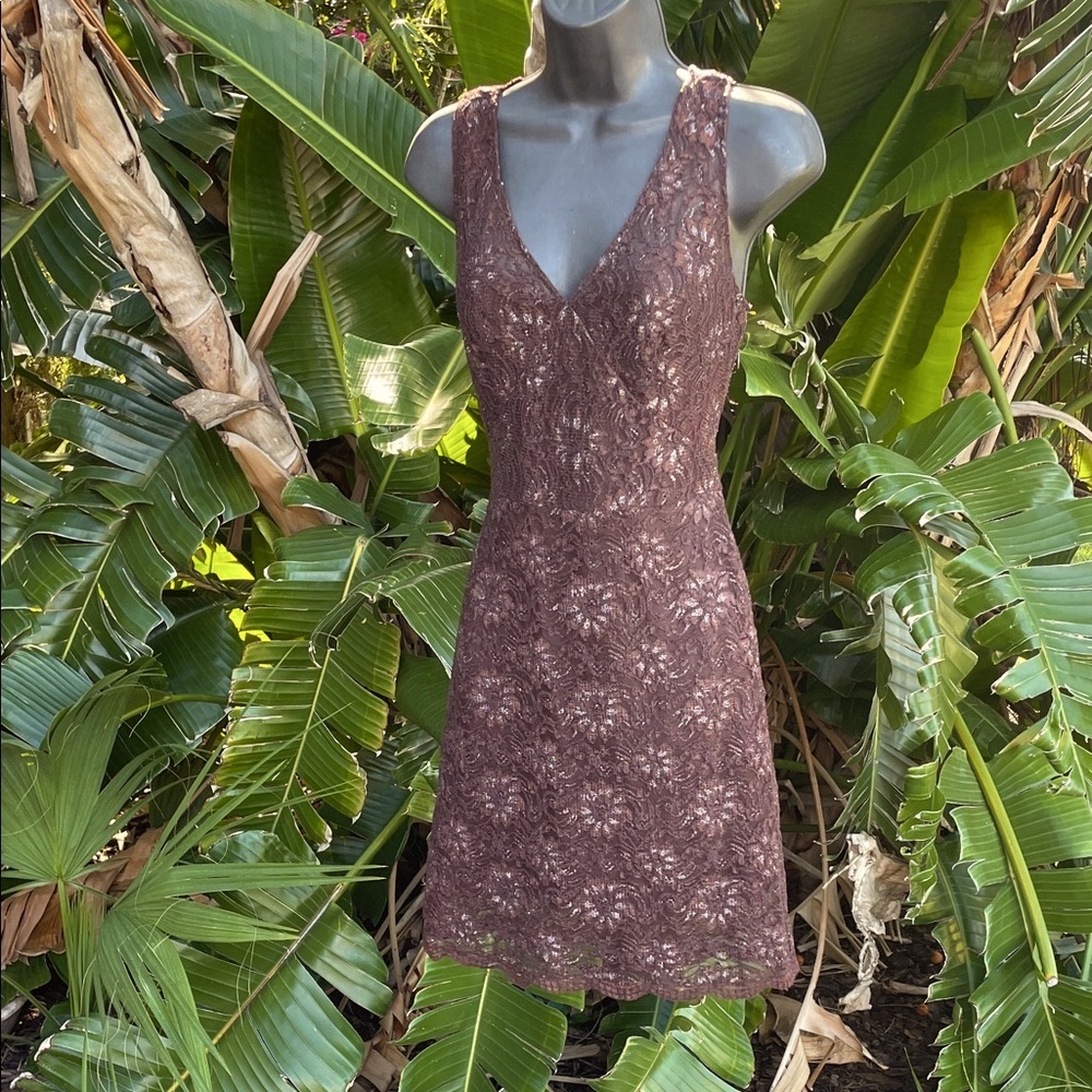 BCBG floral, lace, brown, and silver dress